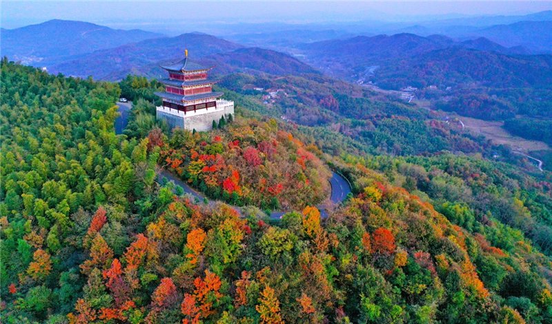 固始婚嫁网：见证城市爱情的甜蜜瞬间